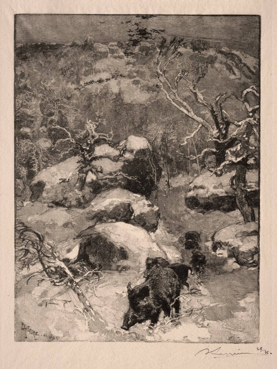 Roche Cuvier Chatillon, 1887 de Auguste Louis Lepère
