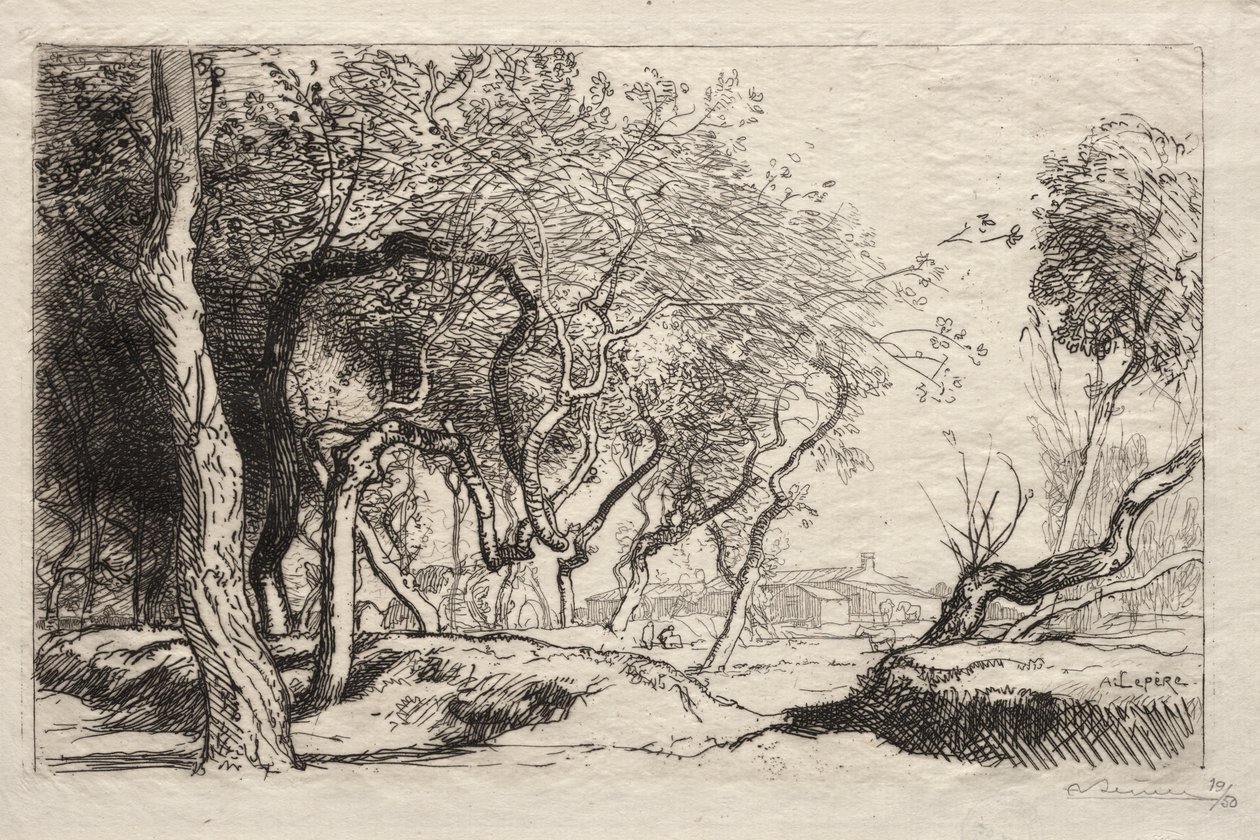 El árbol torcido de Auguste Louis Lepère