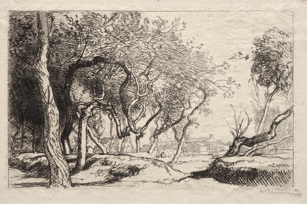 El Árbol Retorcido, 1915 de Auguste Louis Lepère