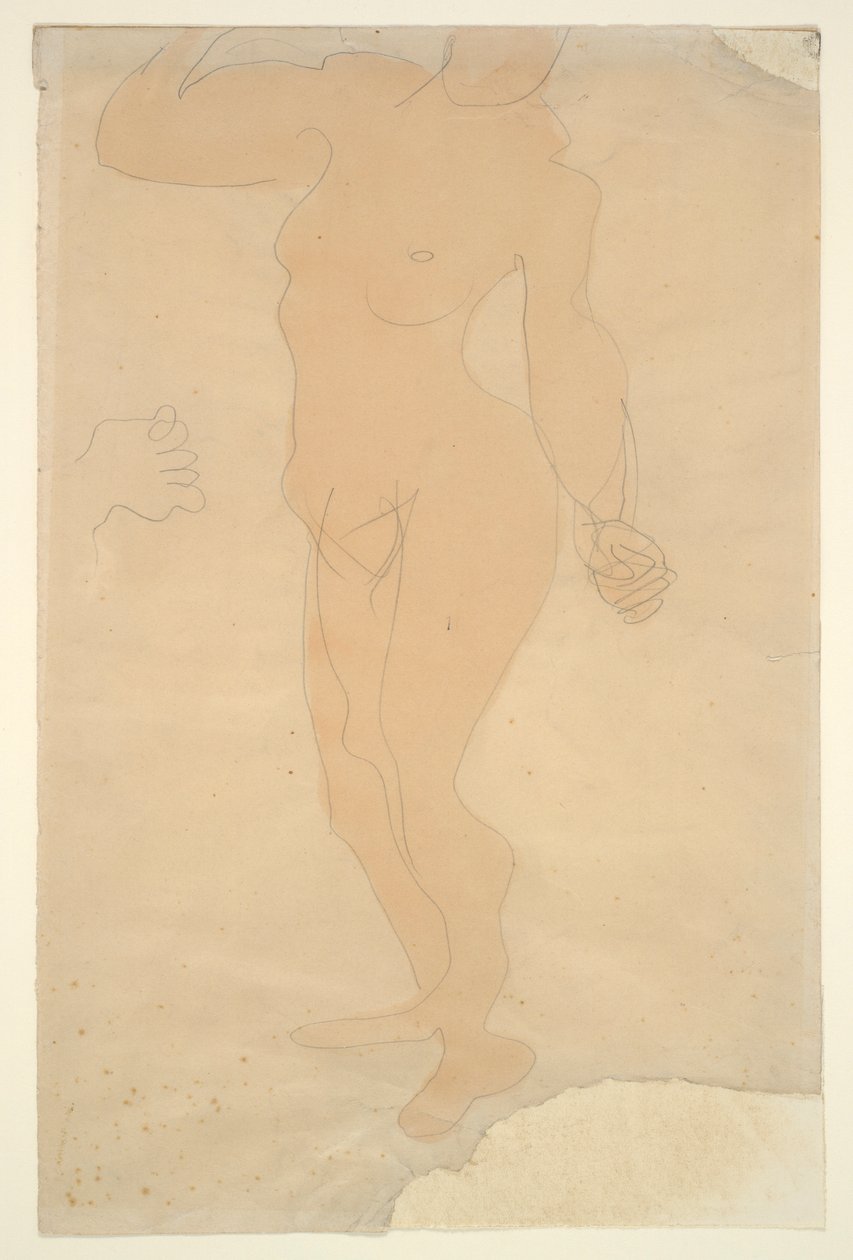 Desnudo de pie (cabeza parcialmente cortada por el borde del papel) de Auguste Rodin