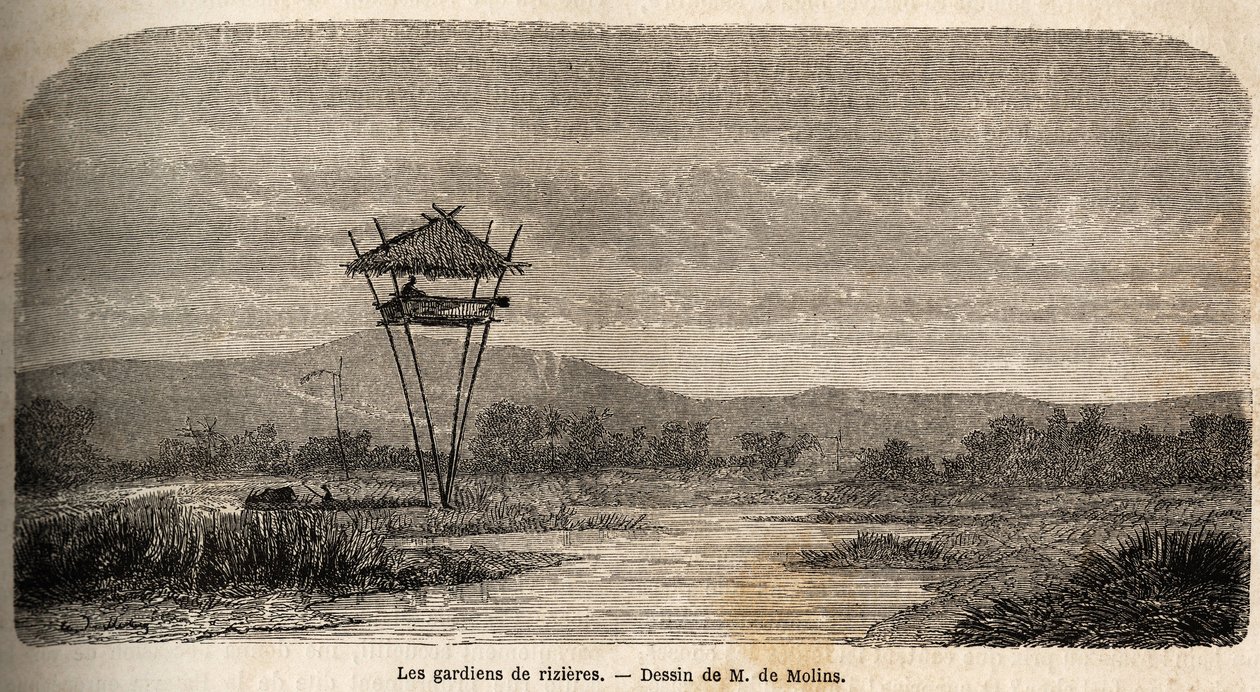 Un guardia de arroz, cerca de Batavia (actual Yakarta). Dibujo de M. de Molins, para ilustrar su viaje a Java de Auguste de Molins