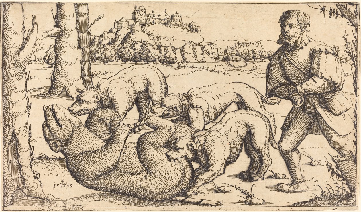 Caza de osos de Augustin Hirschvogel