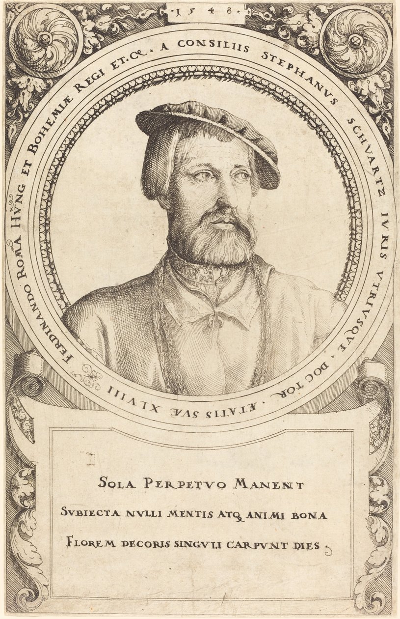 Doctor Stephen Schwartz de Augustin Hirschvogel