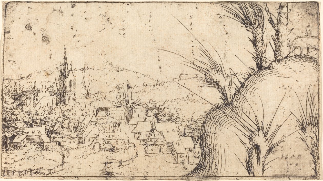 Paisaje con una ciudad a la izquierda de Augustin Hirschvogel