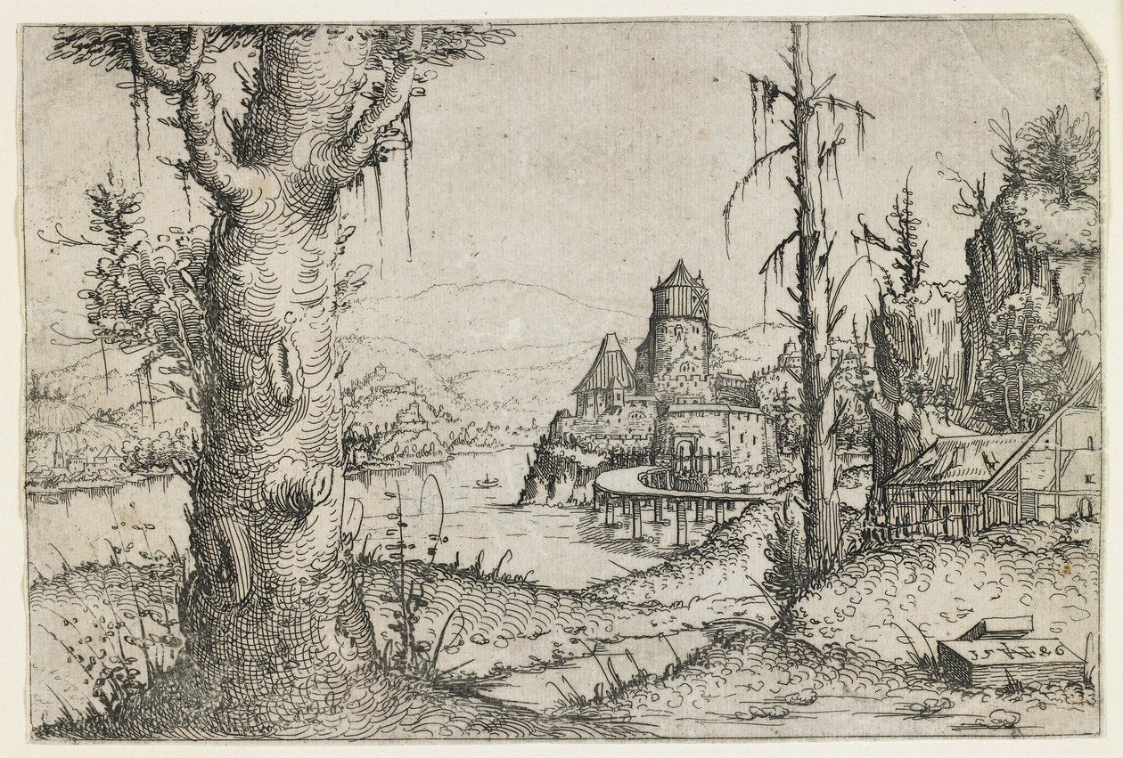 Árbol Grande y Castillo en un Lago de Augustin Hirschvogel