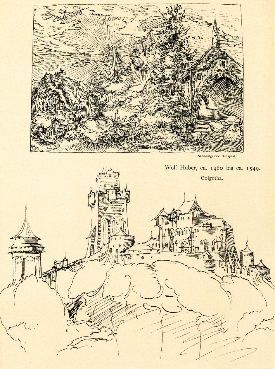Estudio de la naturaleza de Augustin Hirschvogel