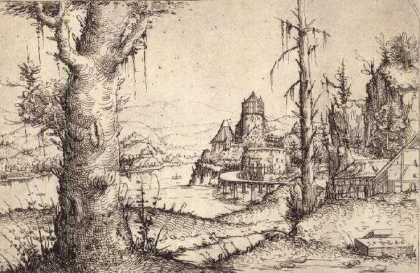 Paisaje fluvial con un árbol robusto de Augustin Hirschvogel