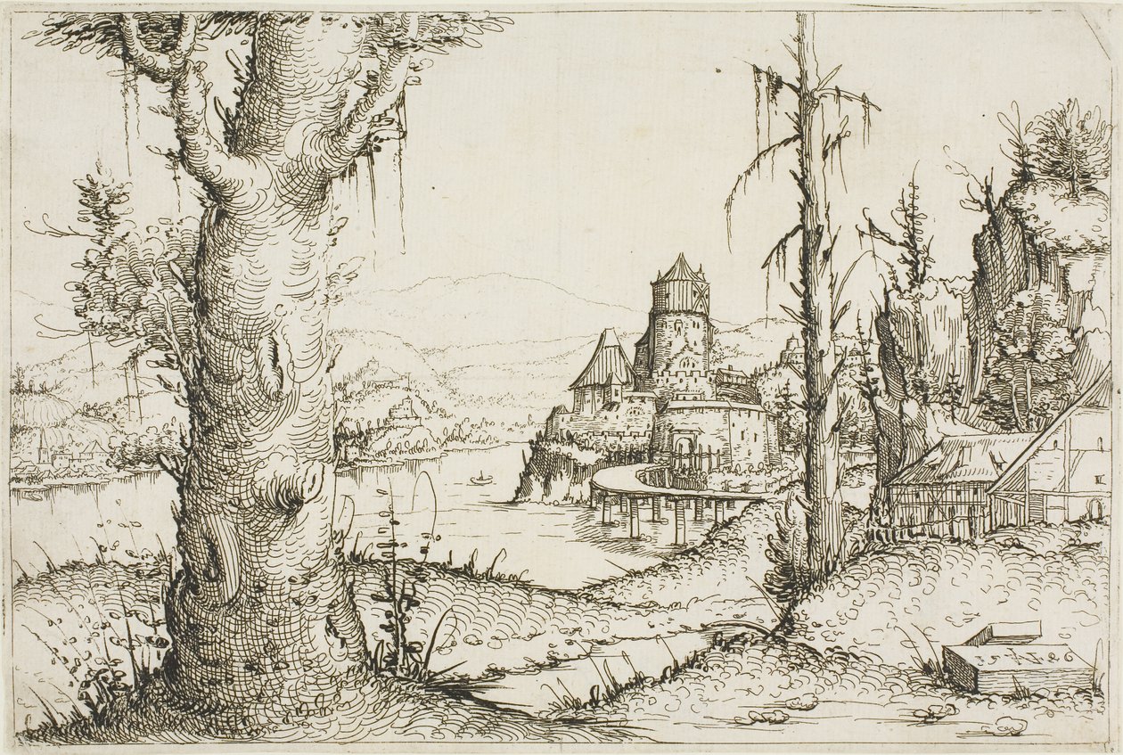 Paisaje fluvial con gran árbol en primer plano de Augustin Hirschvogel