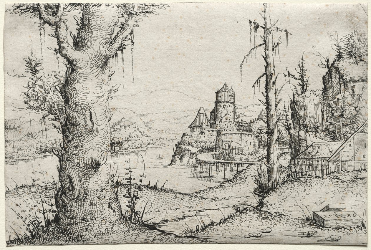 Paisaje fluvial con gran árbol a la izquierda de Augustin Hirschvogel