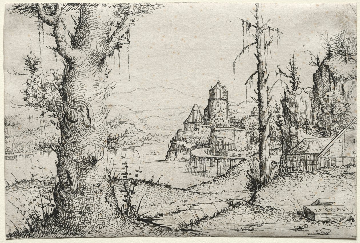 Paisaje fluvial con gran árbol a la izquierda de Augustin Hirschvogel
