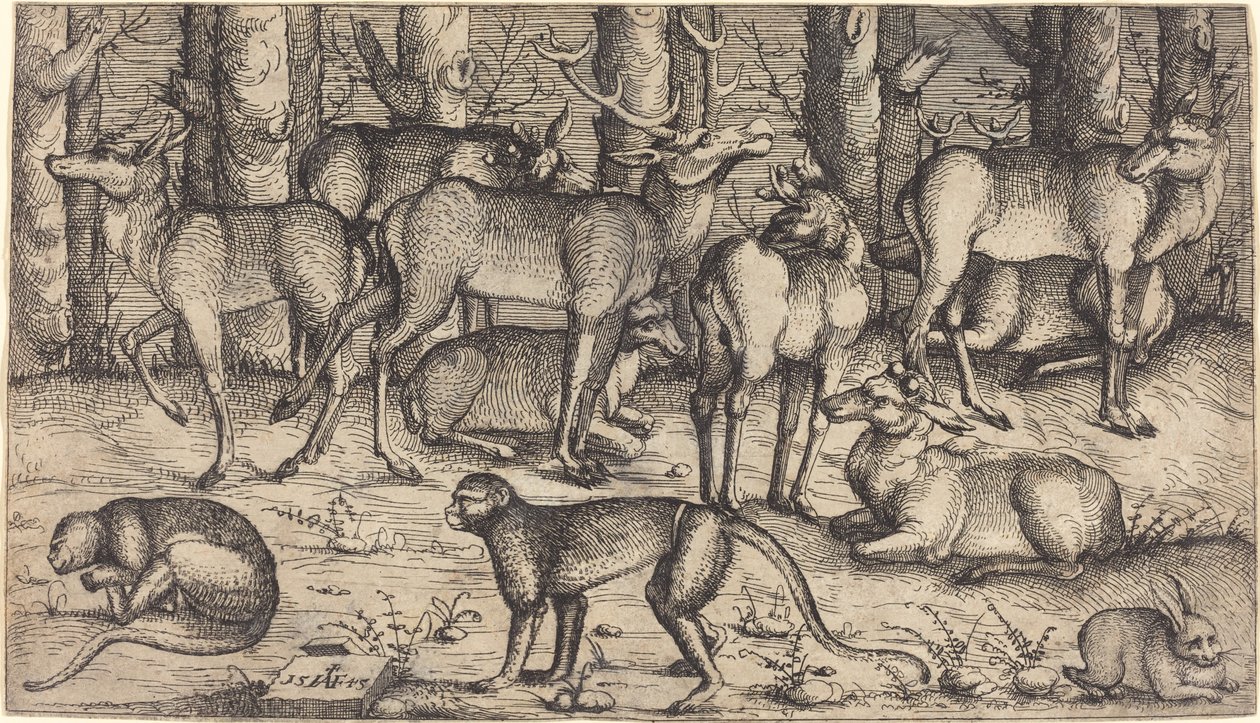 Ciervos en el bosque de Augustin Hirschvogel