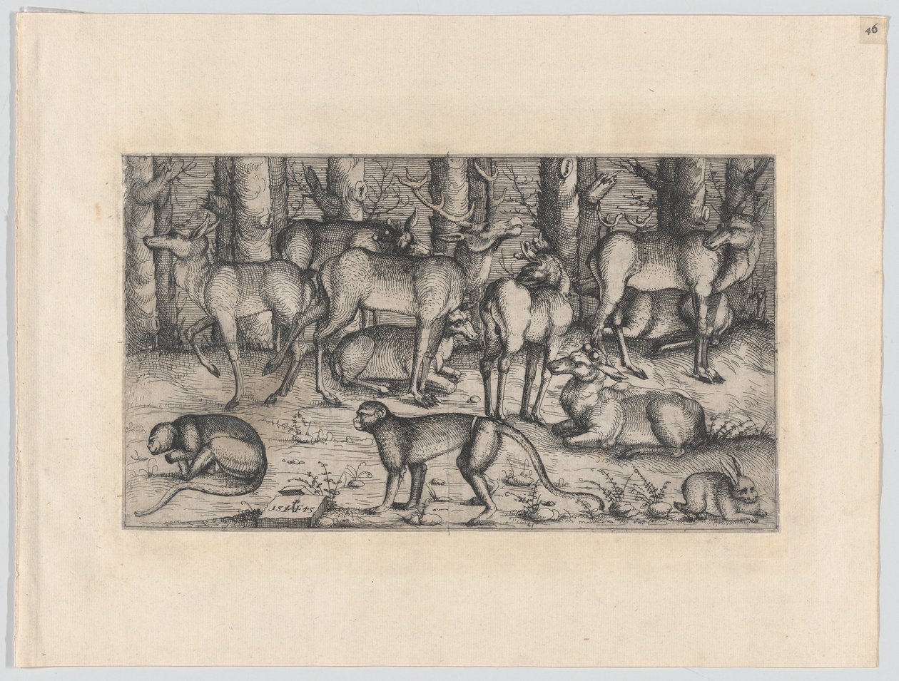 Ciervos en el Bosque, 1545 de Augustin Hirschvogel