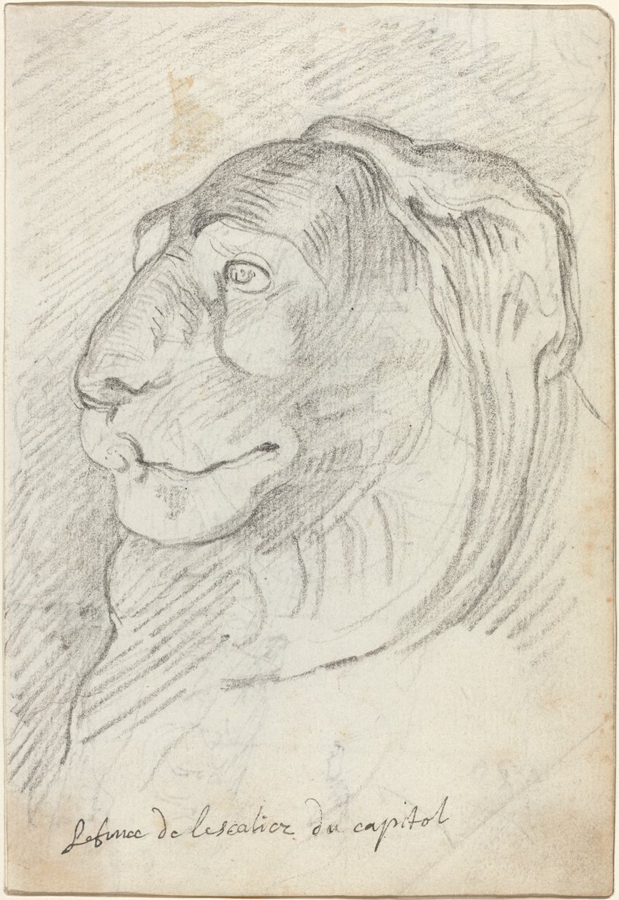 Cabeza de León de la Escalera Capitolina de Augustin Pajou