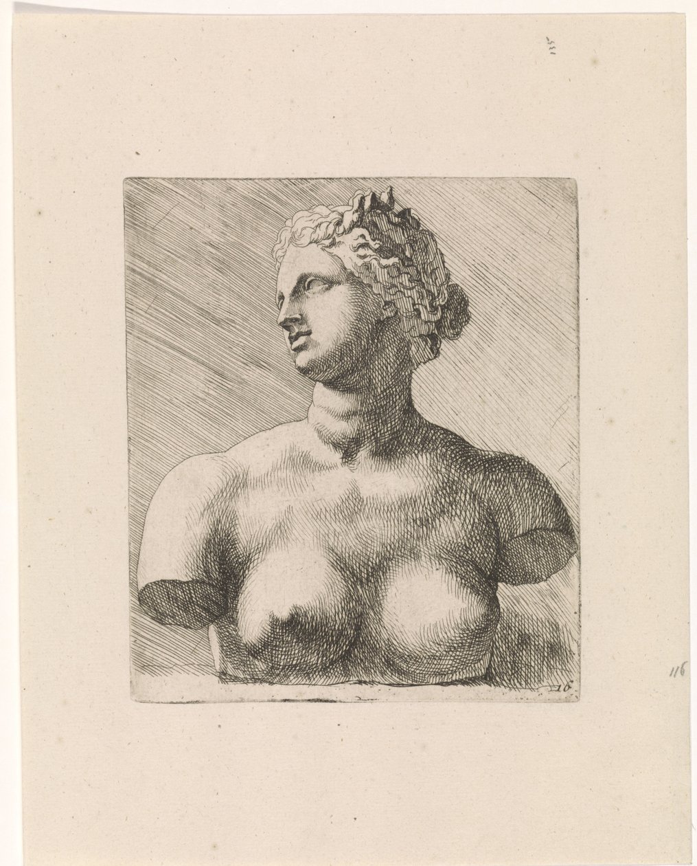 Busto de Venus de