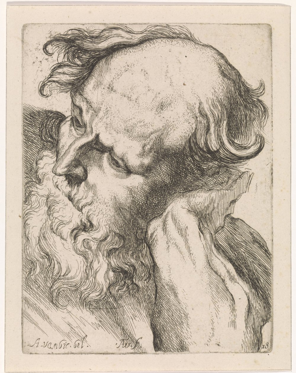 Cabeza de anciano (José) Estudios para un libro de dibujo a partir de esculturas y figuras clásicas de Anthony van Dyck (título de la serie) de Augustinus Terwesten (I)