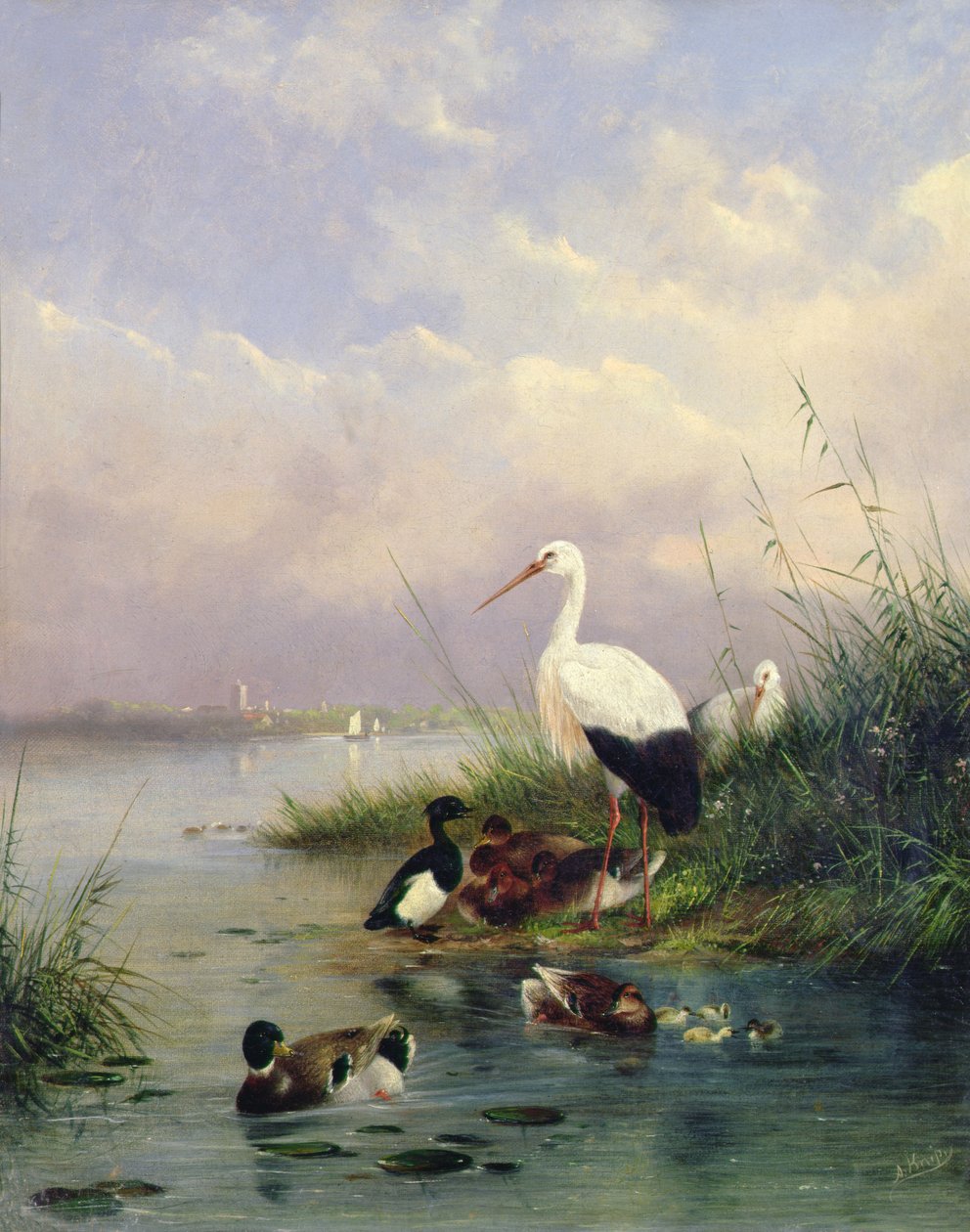 Una familia de ánades reales, dos cigüeñas y una familia de patos moñudos de Augustus Knip