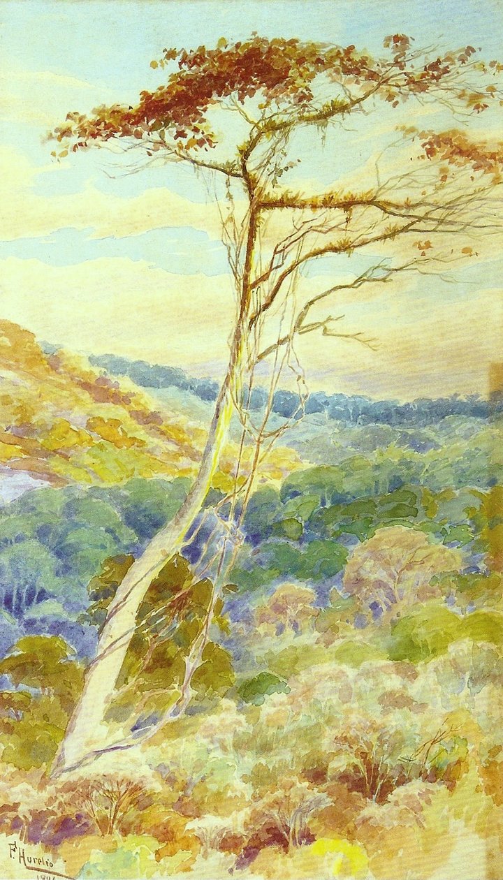 Paisaje de Aurelio de Figueiredo