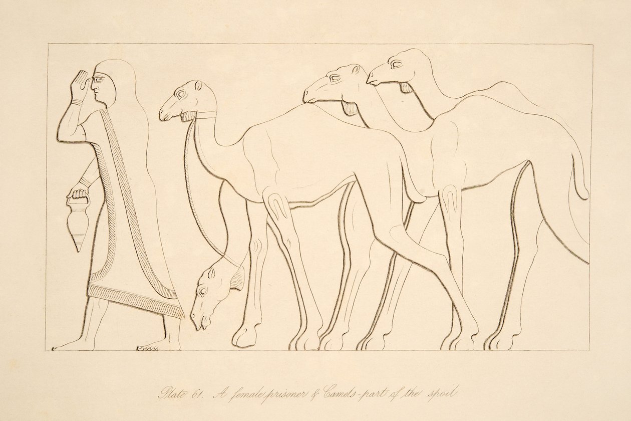 Una prisionera y un camello, ilustración de Monumentos de Nínive, 1849 de Austen Henry Layard