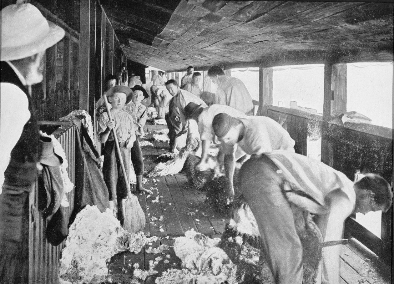 Cobertizo de esquila de ovejas, Queensland, c.1900, de 