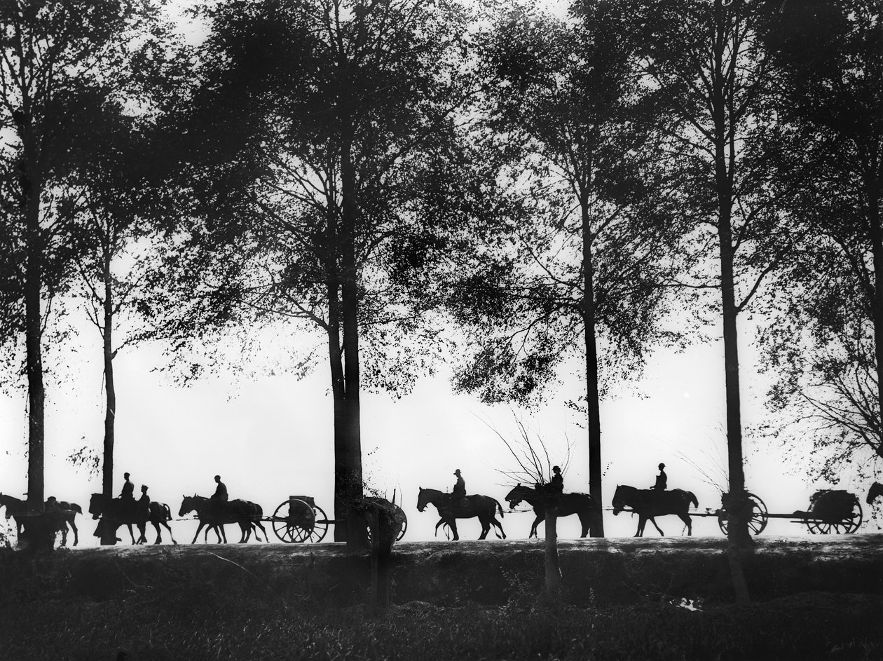 Vista, en silueta, de limbers de artillería australiana cargados con municiones avanzando por la carretera de Ypres, 25 de septiembre de 1917 de Australian Photographer