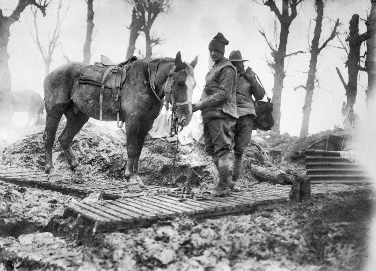 Un caballo de artillería utilizado para transportar municiones a los cañones y su conductor australiano no identificado en una pista de tablones entre Mametz y Montauban, diciembre de 1916 de Australian Photographer