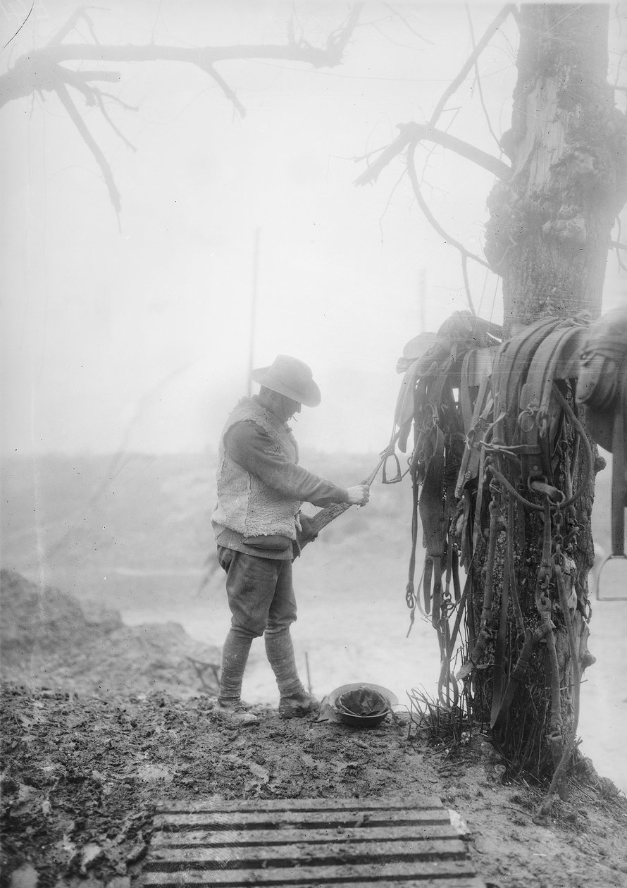 Un conductor de artillería australiano no identificado limpiando el barro del arnés de su equipo en un alojamiento cerca de Mametz, diciembre de 1916 de Australian Photographer