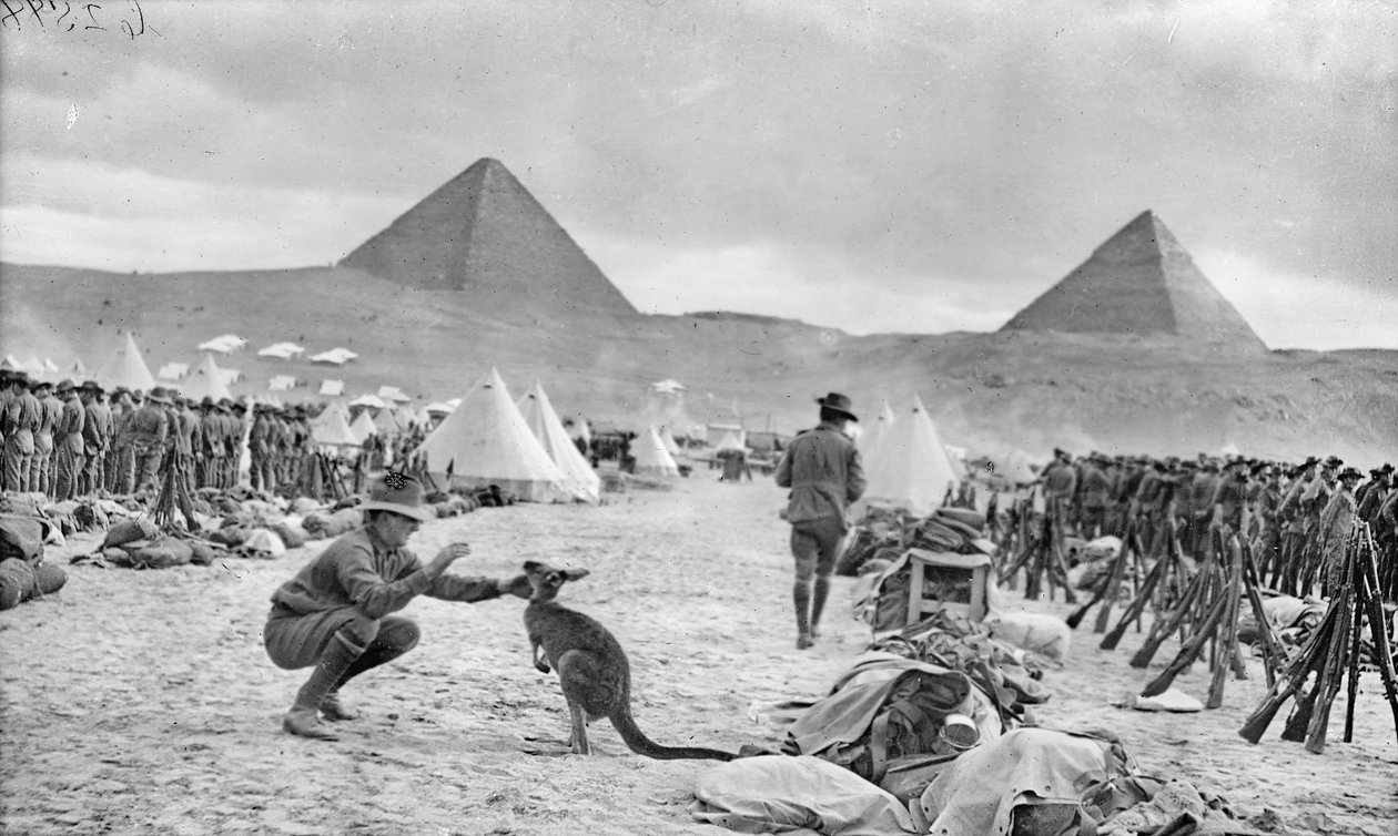 Líneas de los Batallones 9º y 10º Australianos en el Campamento Mena, mirando hacia las Pirámides, diciembre de 1914 de Australian Photographer