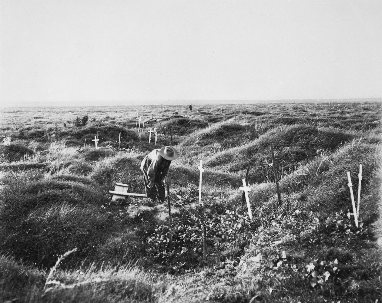 Vista de tumbas australianas dispersas a lo largo de la línea OG1 en el campo de batalla de Pozieres, 16 de septiembre de 1917 de Australian Photographer
