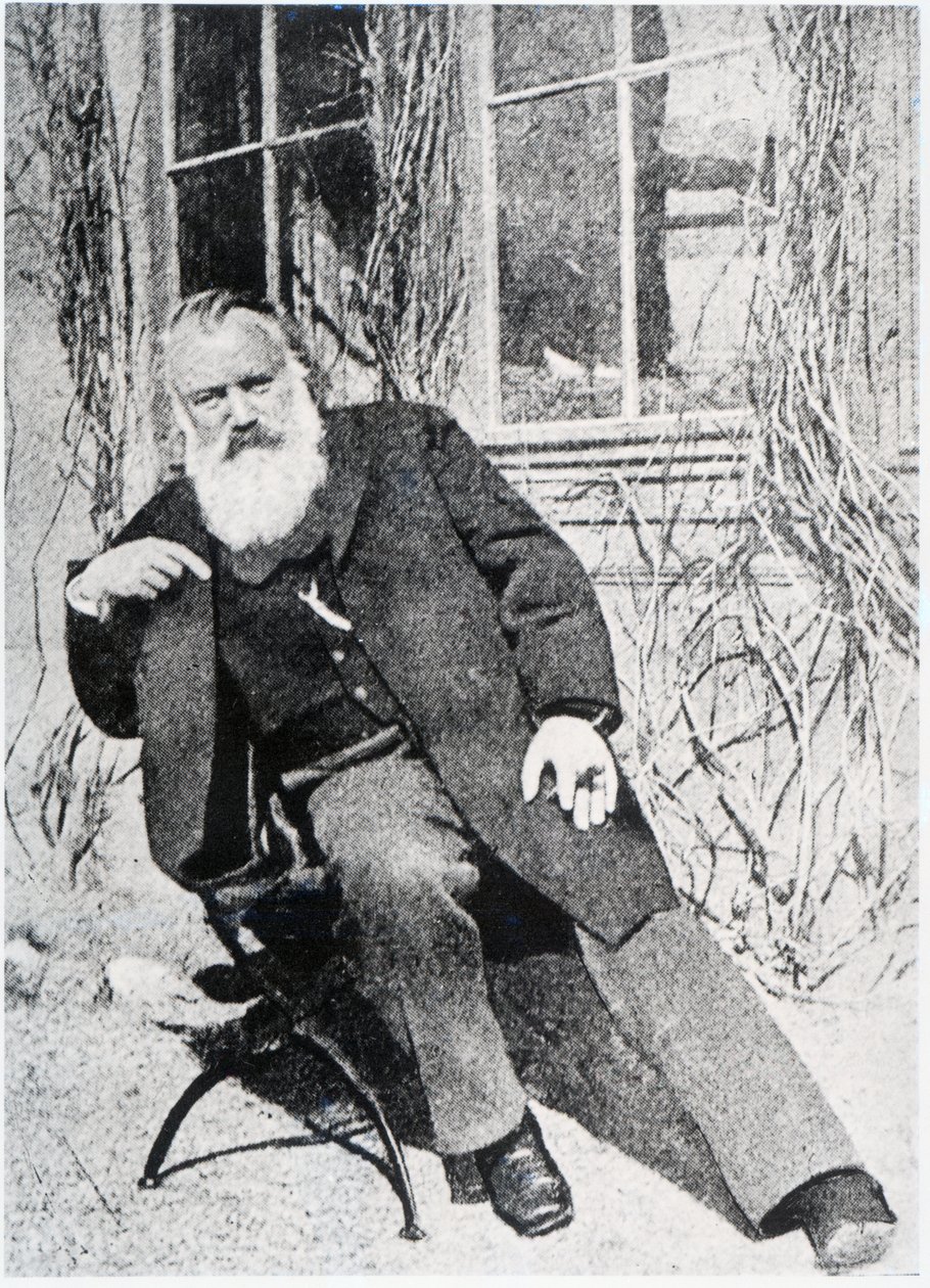 Johannes Brahms, c.1897 de Austrian Photographer