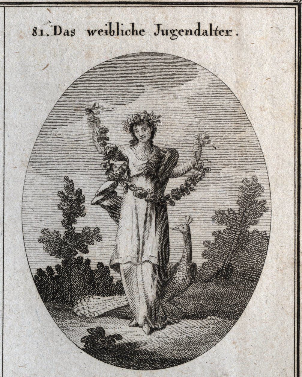 Alegoría de la adolescencia (joven) representada por una joven con una corona y una guirnalda de flores para denotar la felicidad. El pavo real simboliza el amor por el adorno. Su pie está colocado sobre un reloj de arena. Grabado en "Iconologie oder Ideen de Austrian School