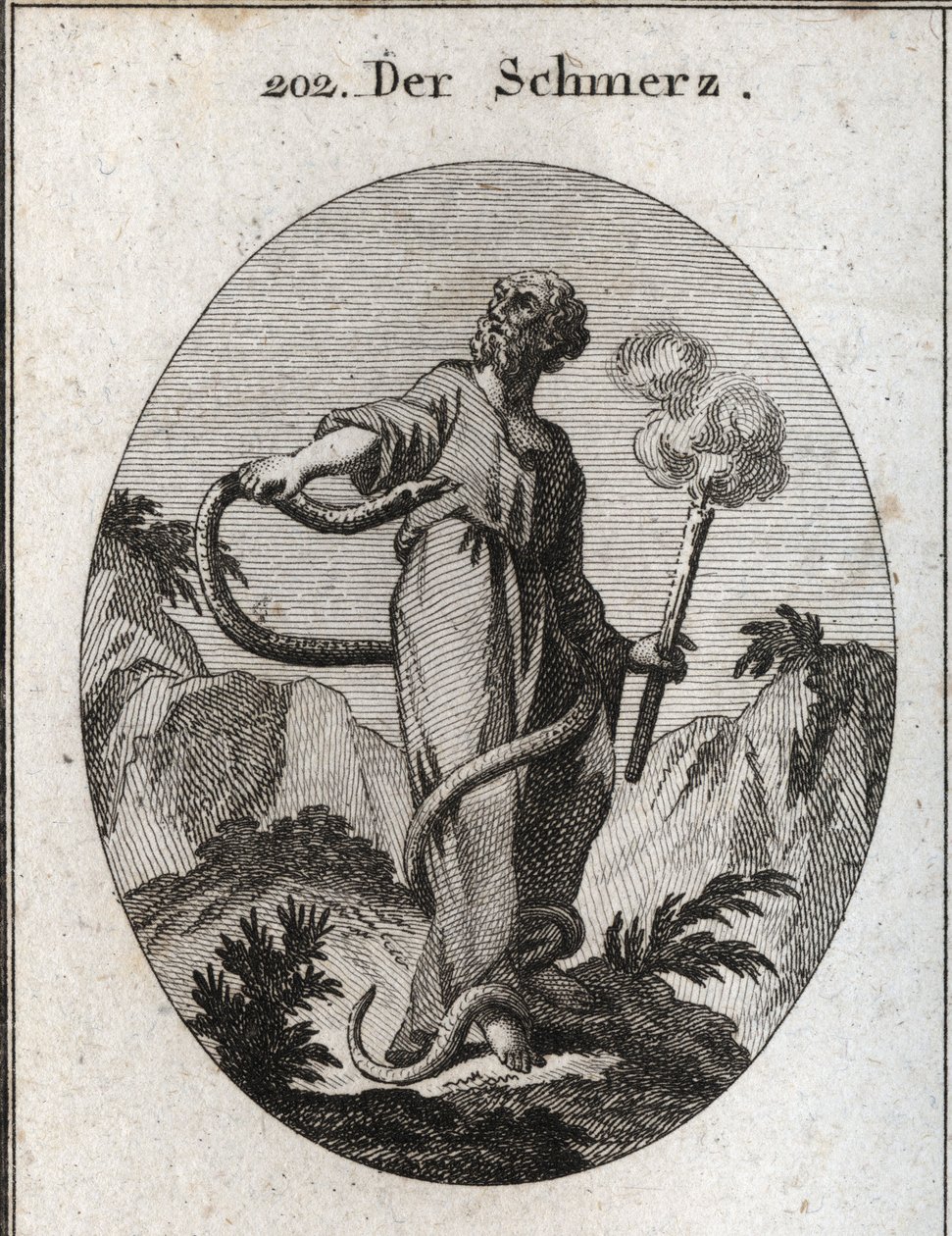 Alegoría del dolor. Una serpiente monstruosa rodea a quien, después de atar sus pies, sube por su cuerpo e intenta morder su corazón. Ella sostiene una antorcha que aún humea, lo que significa que el abatimiento inducido por el dolor apaga el fuego del alm de Austrian School