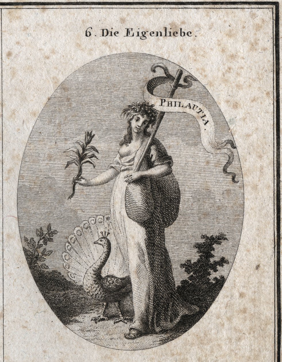 Alegoría del amor propio representada como una joven cerrando una bolsa que simboliza sus faltas con una baguette en la que está inscrita la traducción griega “Philautia”. Atributos: el pavo real haciendo la rueda y la flor de narciso. Grabado en “Iconolog de Austrian School