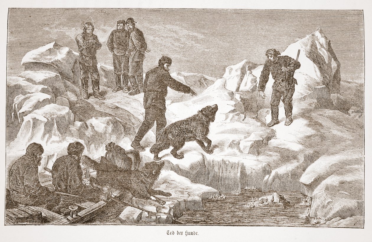 Caza con perros, 1876 de Austrian School