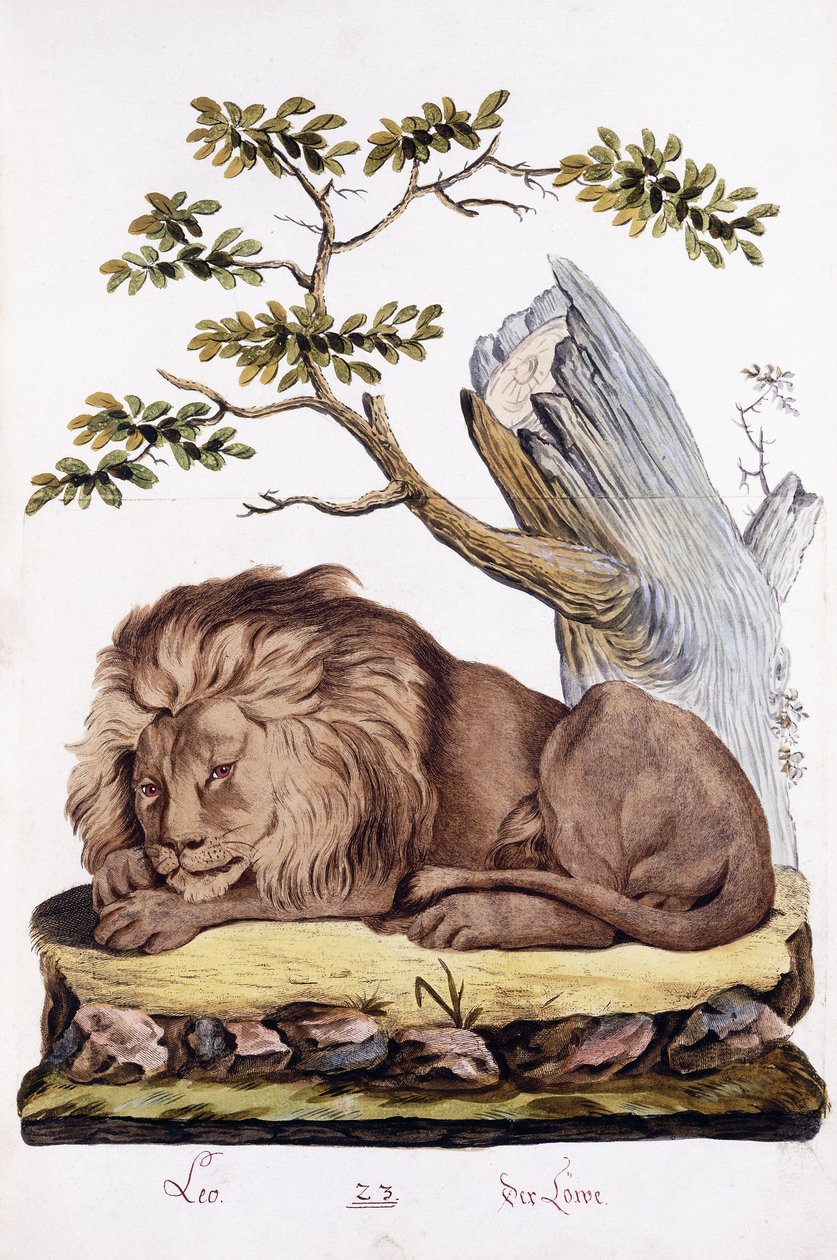 León, 1794 de Austrian School