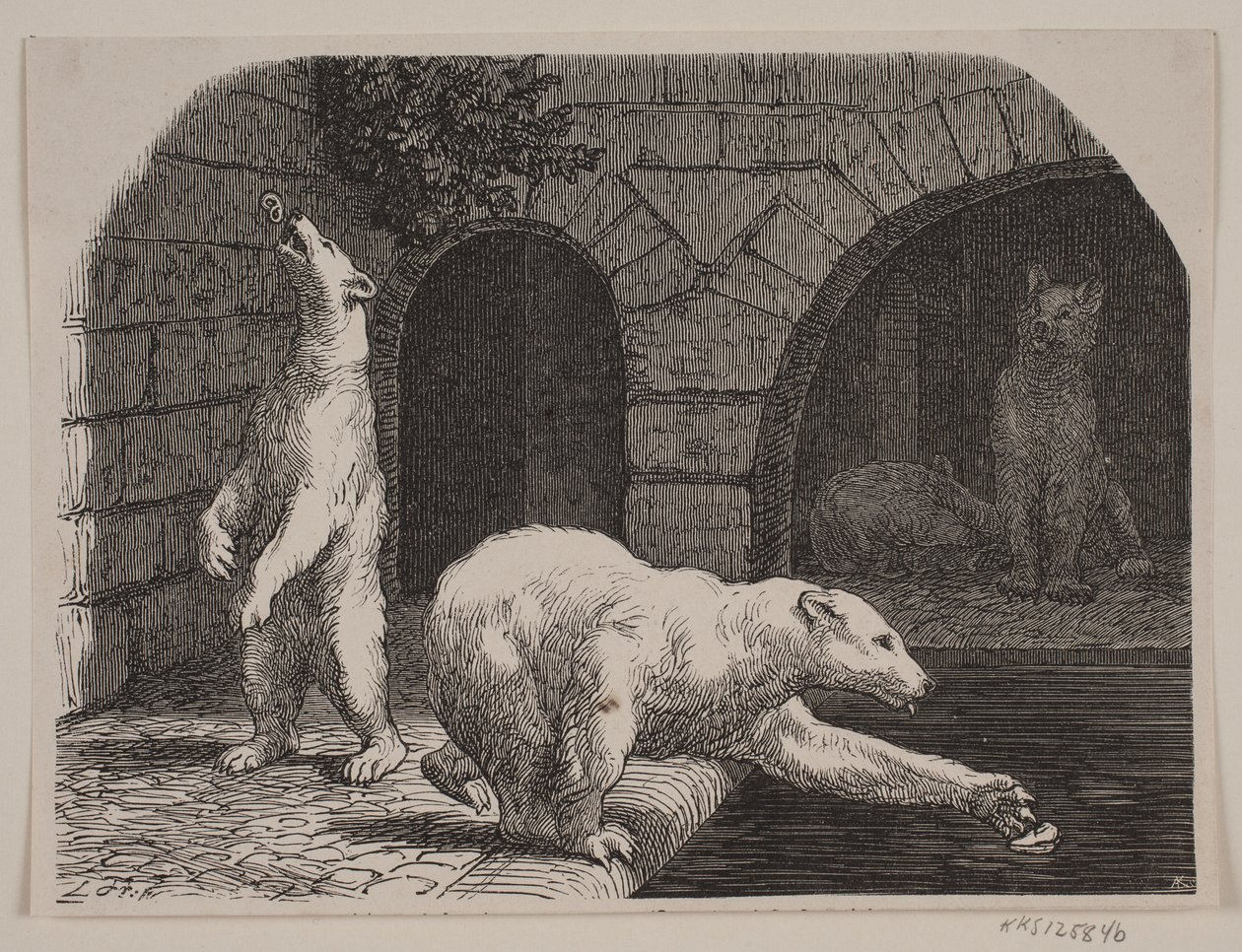 Osos en el Jardin des Plantes de Axel Theodor Kittendorff