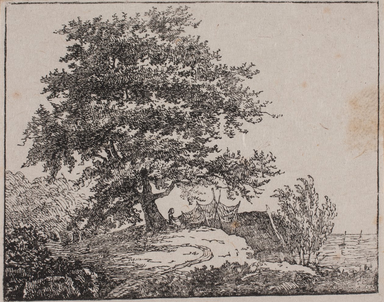 Árbol en una pendiente junto al mar de Axel Theodor Kittendorff