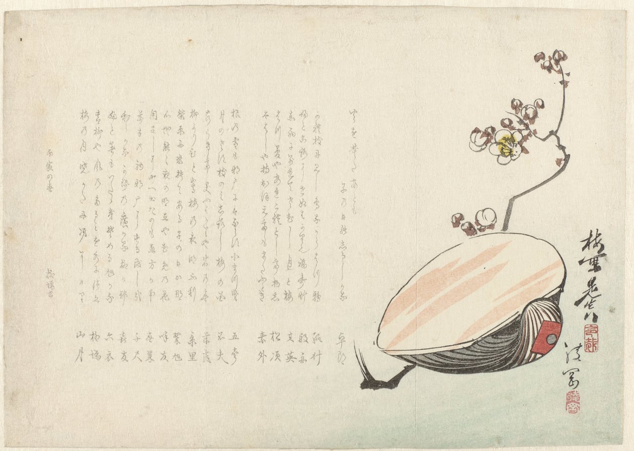 Caparazón de Ayaoka Yûshin