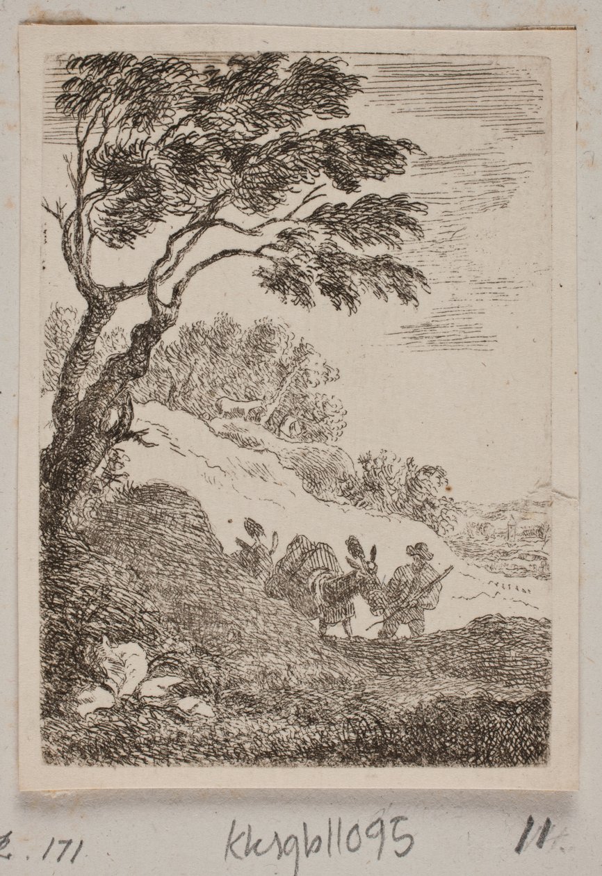 Una región montañosa de B. Flügge