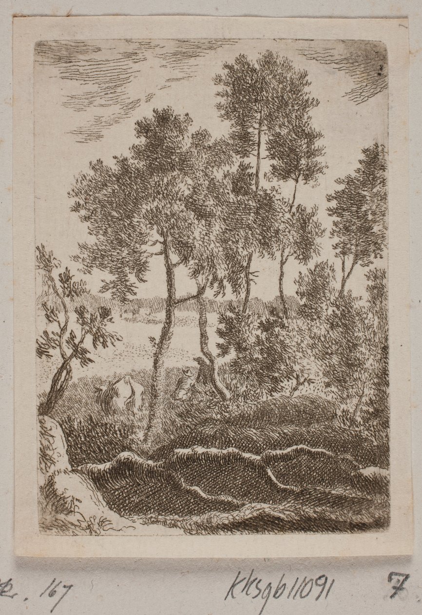 Escena de bosque de B. Flügge