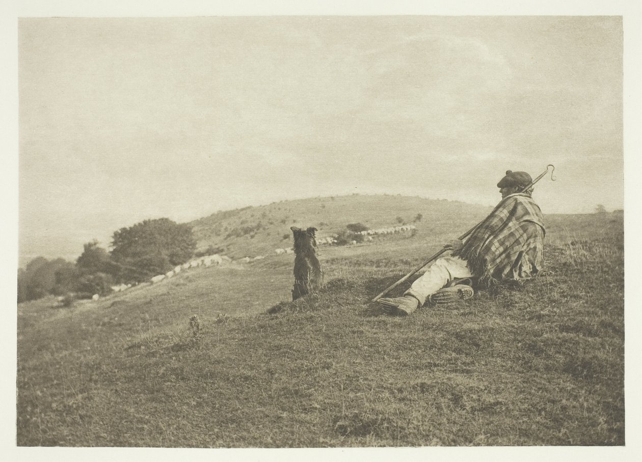 Una pastoral de B. Gay Wilkinson