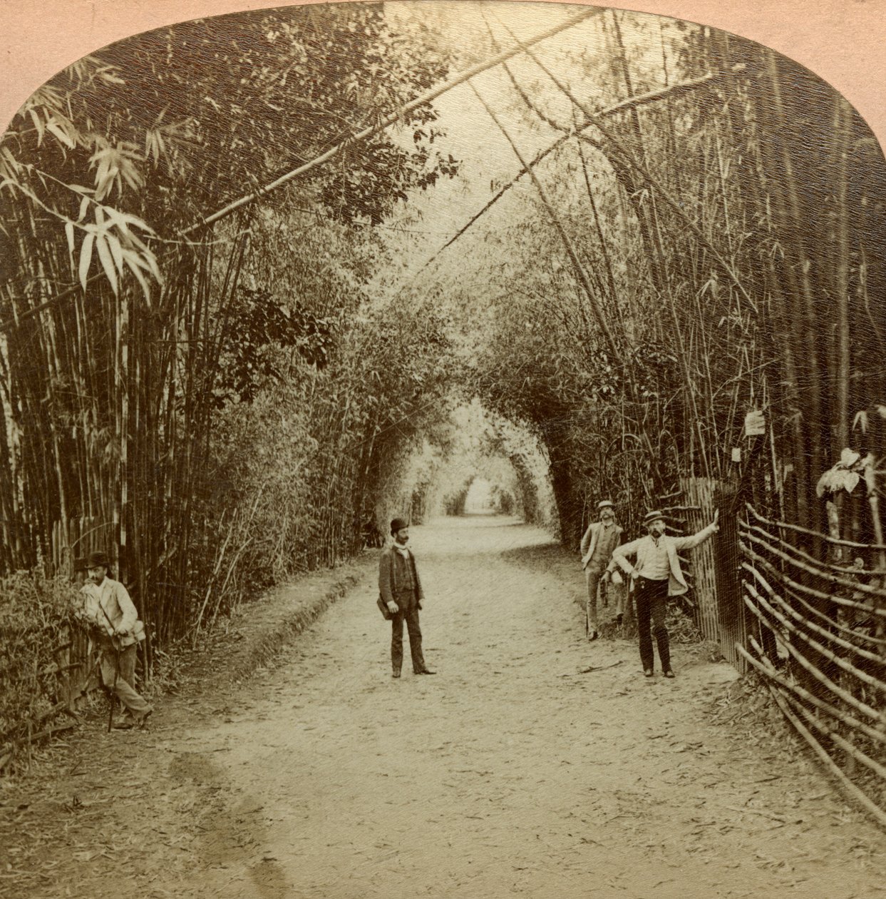 El Mardyke, Cork, Irlanda de B. W. Kilburn