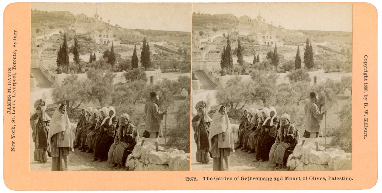 El jardín de Getsemaní y el Monte de los Olivos, Palestina de B. W. Kilburn