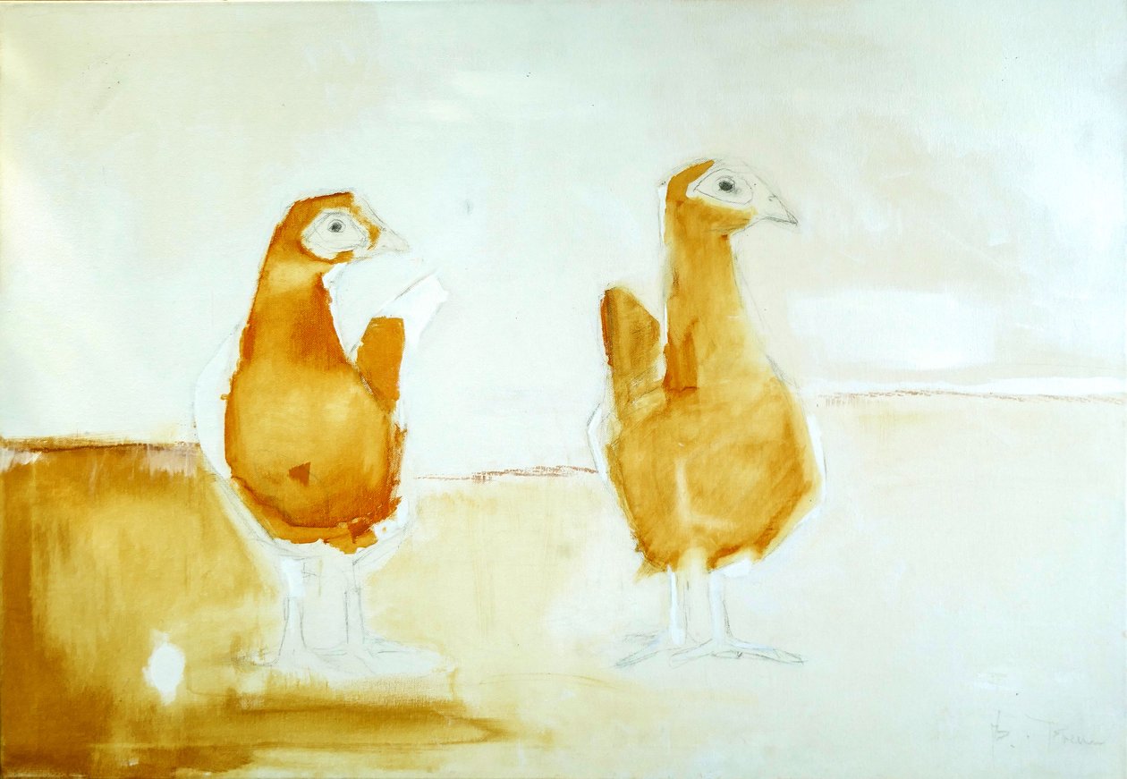 Las gallinas de Babo B.