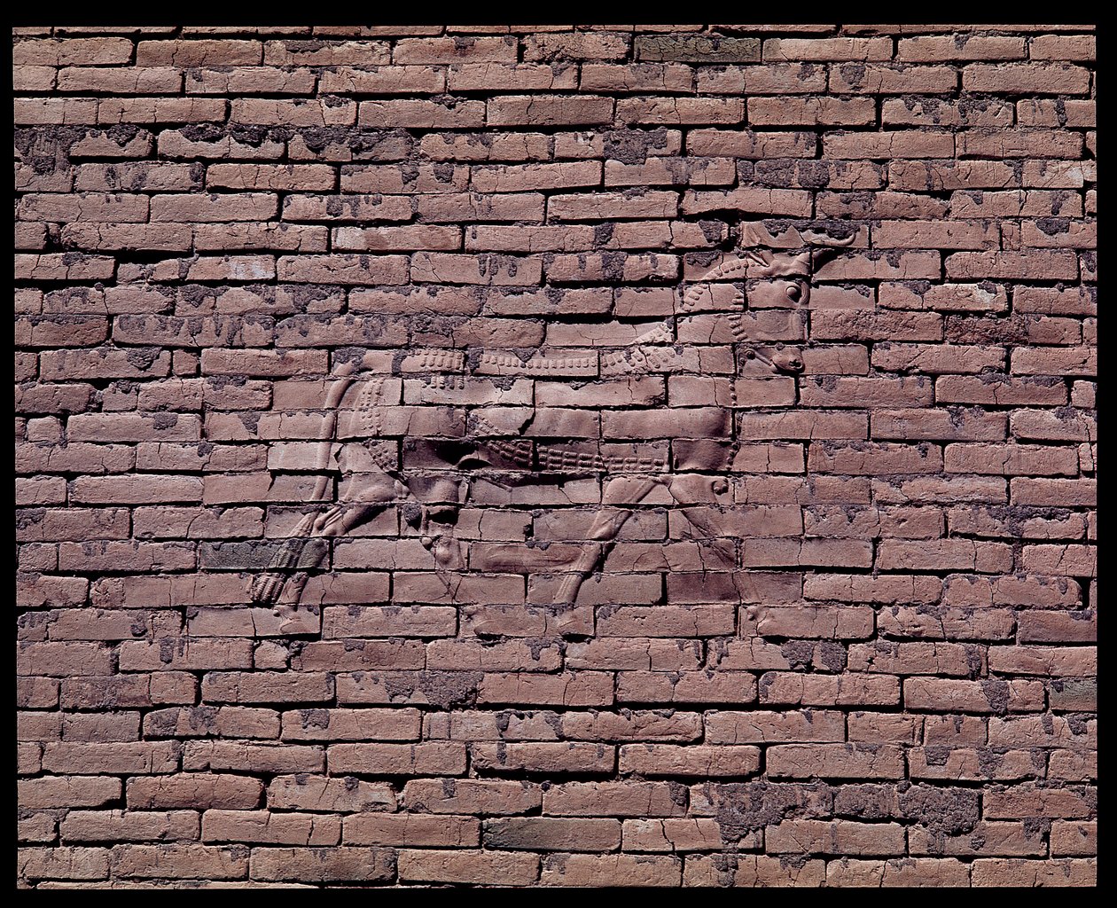 (detalle) de un toro, relieve de la puerta de Ishtar, 580 a.C. de Babylonian