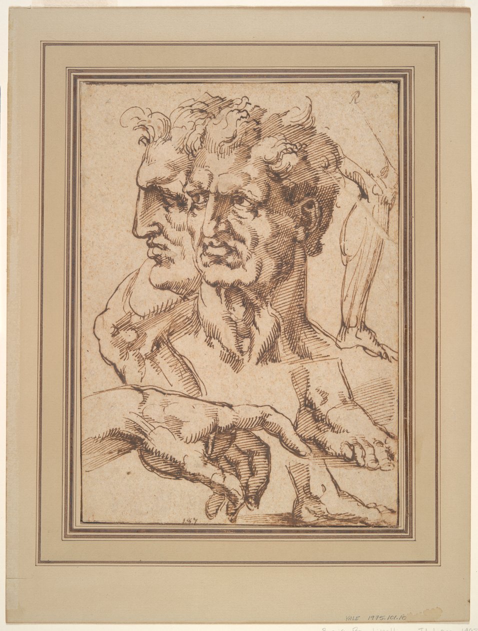 Ficha de Estudios de Baccio Bandinelli