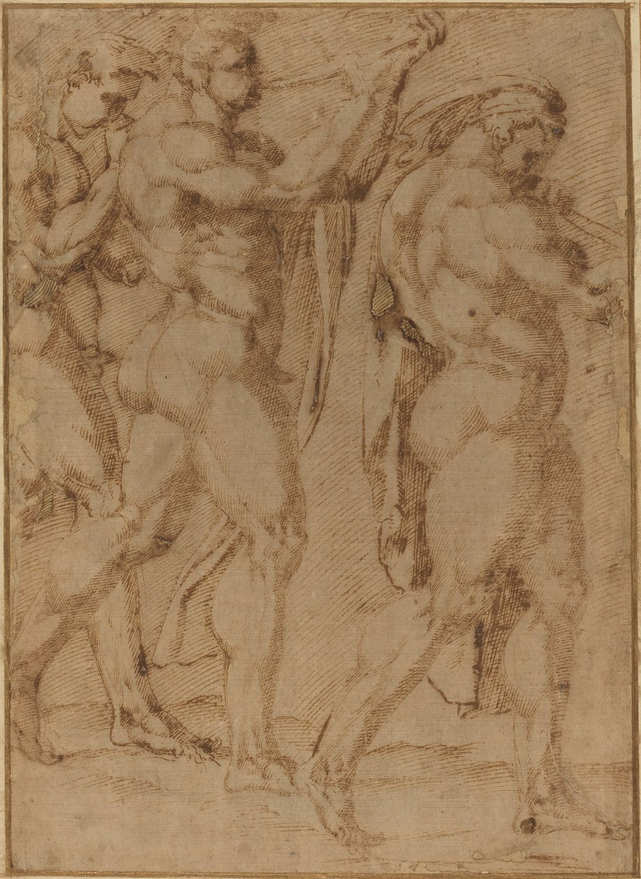 Procesión Triunfal de Baccio Bandinelli