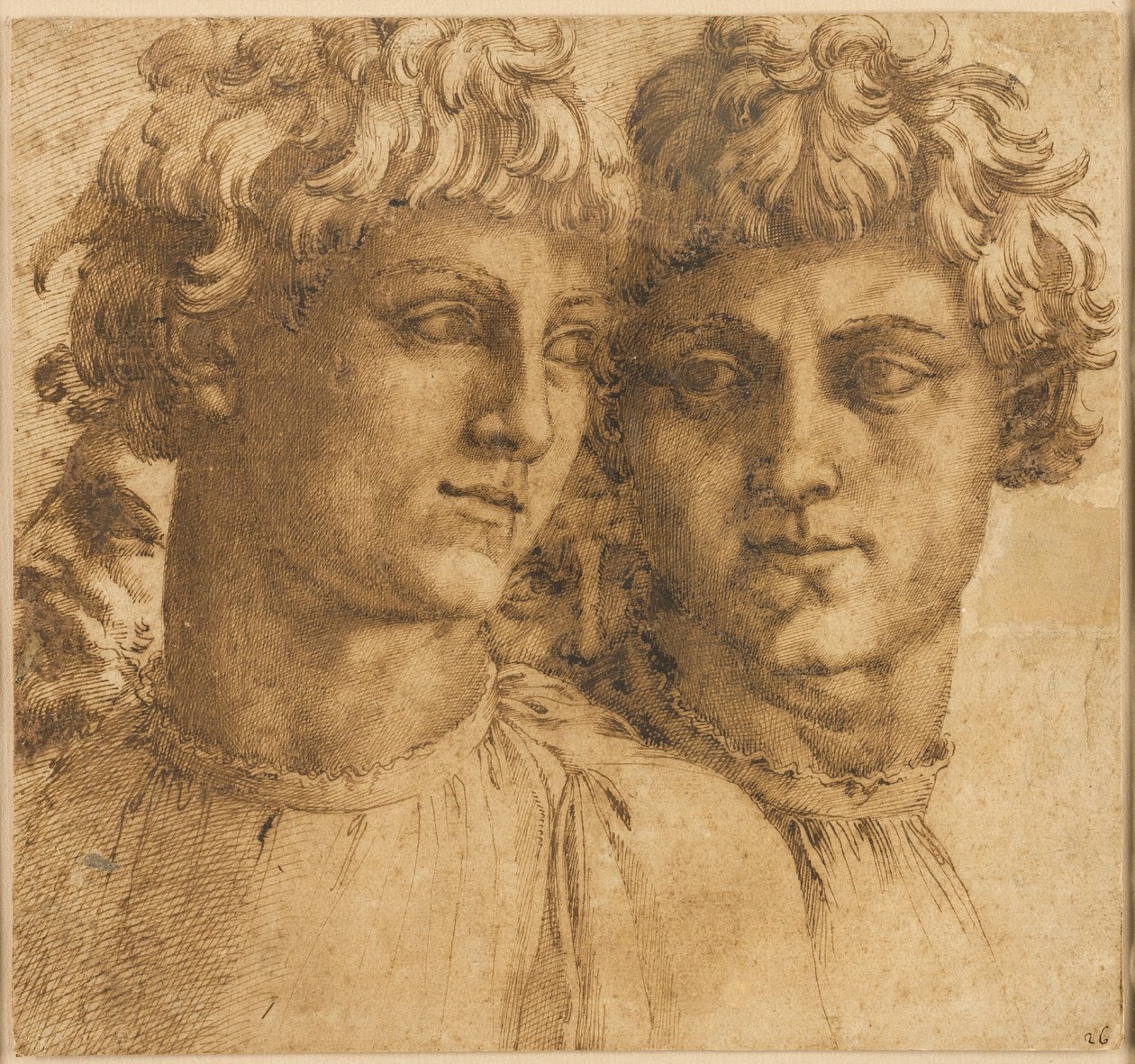 Dos Estudios de la Cabeza de un Joven de Baccio Bandinelli