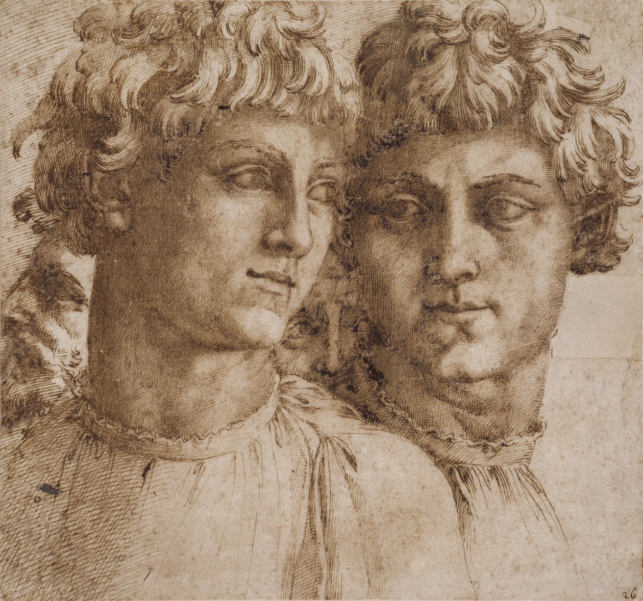 Dos estudios de la cabeza de un joven, c.1550 de Baccio Bandinelli