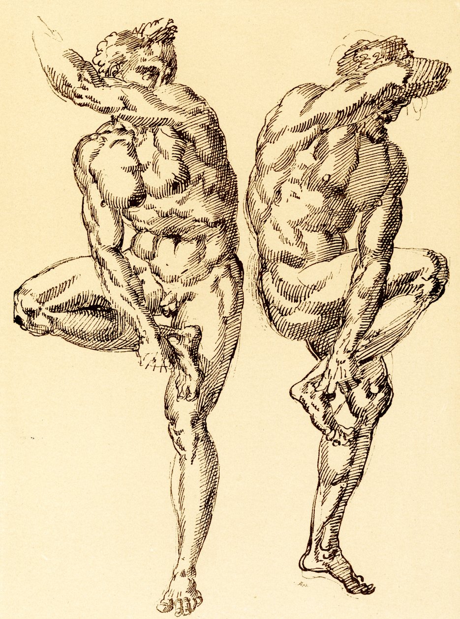 Dos actos masculinos de Baccio Bandinelli
