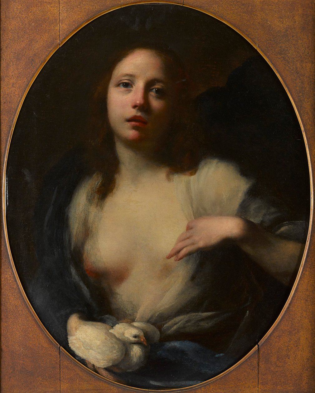 Pintura de una joven con paloma blanca (óleo sobre lienzo) de Baldassare (1611 89) Franceschini